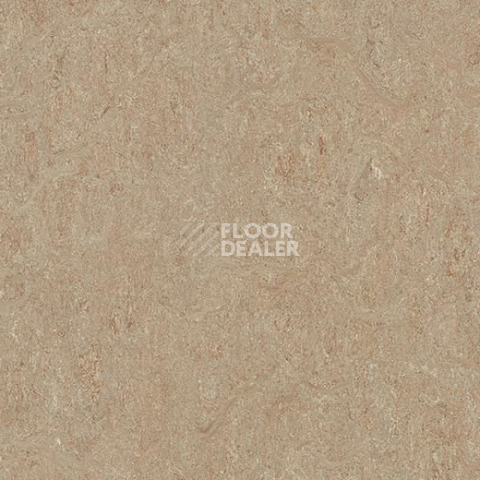 Линолеум Forbo Marmoleum Decibel on Order 580335 weathered sand фото 1 | FLOORDEALER